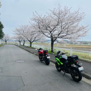 にっさい桜並木にてwith CBR650R
