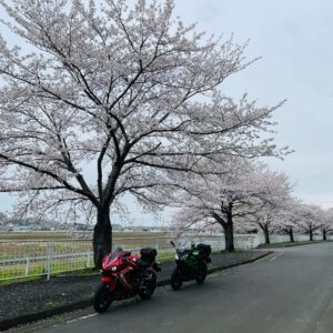 にっさい桜並木にてwith CBR650R