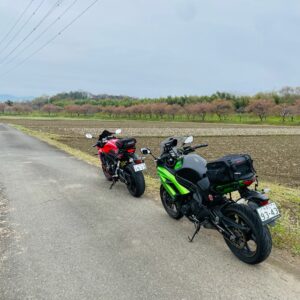 北浅羽桜堤にてwith CBR650R&ninja650