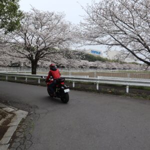 にっさい桜並木にてwith CBR650R
